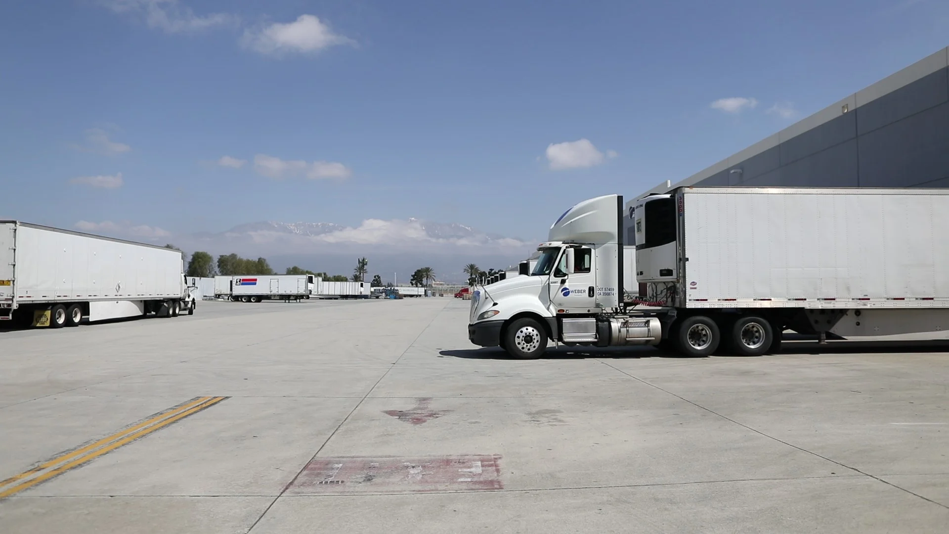 Drivers and dispatch inside the NVZ TRANSPORT LLC yard
